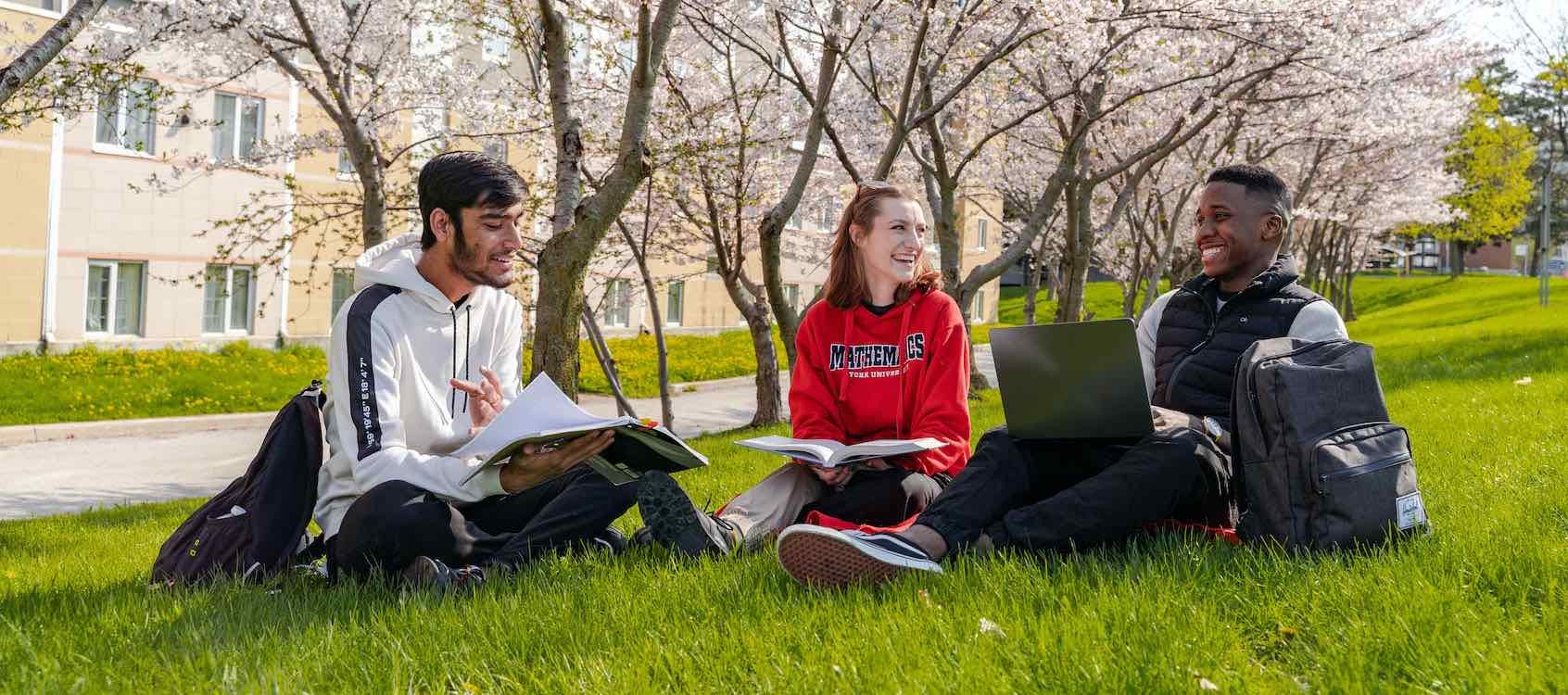 Students studying together sitting on the grass with cherry blossom trees behind them